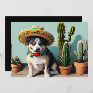 Invitación sombreros perros