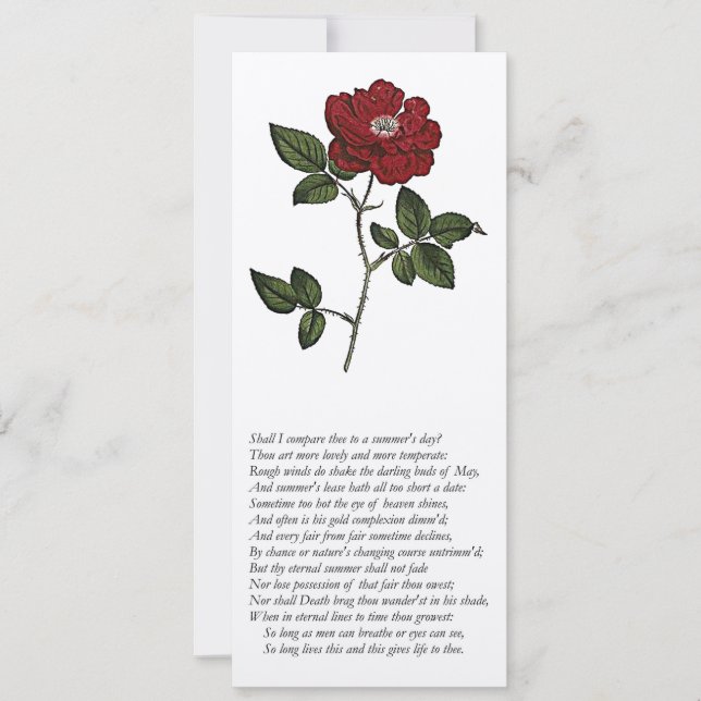 Invitación Sonnet # 18 de William Shakespeare (Anverso)