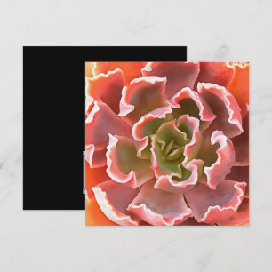Invitación Sorprendente Jardín Suculentos Tonos Rosa Arte Rea
