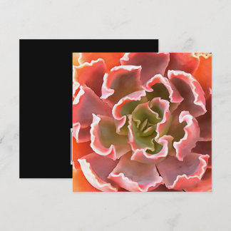 Invitación Sorprendente Jardín Suculentos Tonos Rosa Arte Rea
