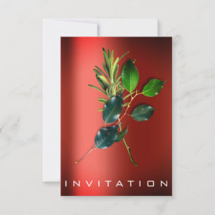 Invitación Spices Chef Italiano Sostenibilidad de Cena ReD