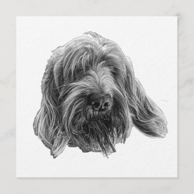 Invitación Spinone Supper Invite (Anverso)