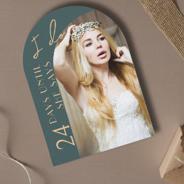 Invitación Spruce Limpieza Moderno Arco Foto Ducha Bridal