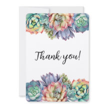 Suculenta Colorida de Agradecimiento