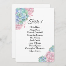 Suculentas rosadas azules. Gráficos de asientos de