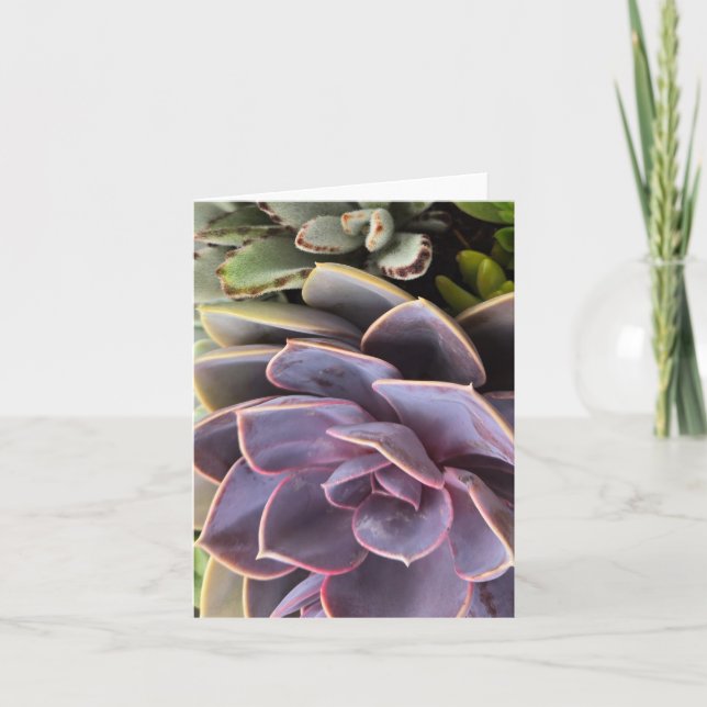 Invitación Suculentos (Anverso)