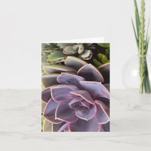 Invitación Suculentos