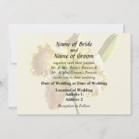 Suministros de Boda de Lirio de Día Amarillo