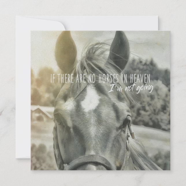 Invitación SUMMER BREEZE 5.25 x 5.25 card (Anverso)