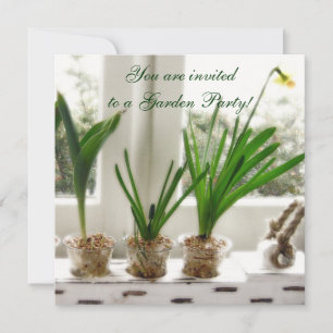 Invitación Sunny Daffodils en la ventana