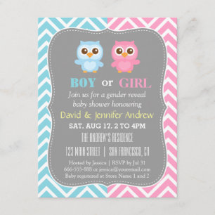 Invitación Tema de búho bebé lindo Chevron Fiesta de Revelaci