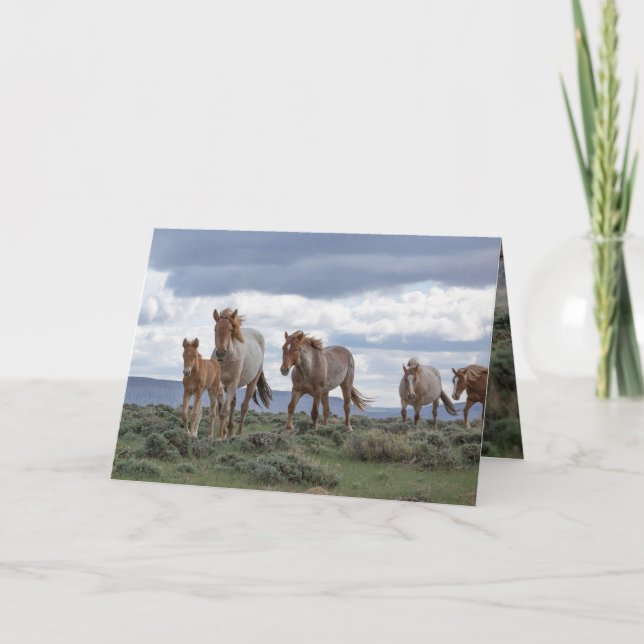 Invitación The Wild Roan Family Runs Greeting Card (Anverso)