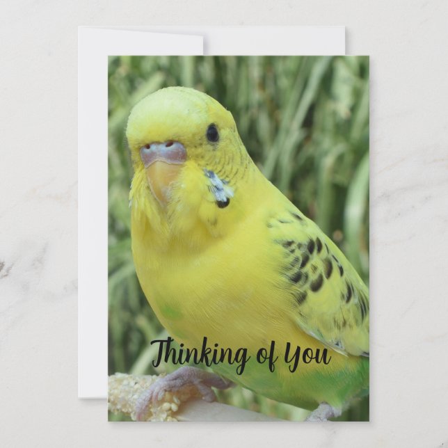 Invitación Thinking of You card (Anverso)