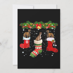 Invitación Three Greyhound Dog In Sock Christmas Santa
