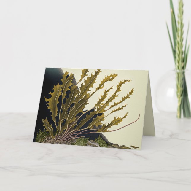 Invitación Tidal Fronds (Anverso)