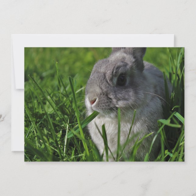 Invitación Tiempo del bocado (Anverso)