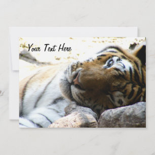 Invitación Tigre de viento