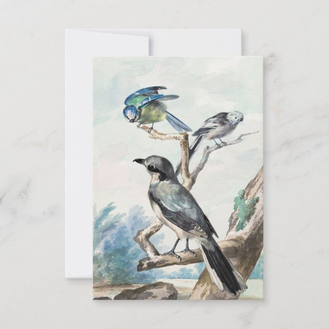 Invitación Tit de cola larga, tit azul y gran grito (Anverso)