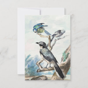 Invitación Tit de cola larga, tit azul y gran grito