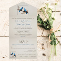 Boda de Bluebirds de primavera
