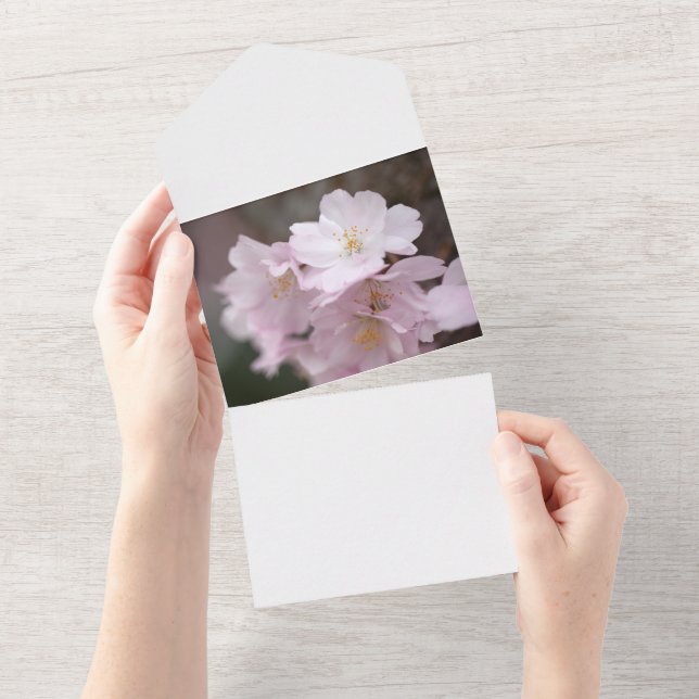 Invitación Todo En Uno Flor de cerezo rosa (desgarro)