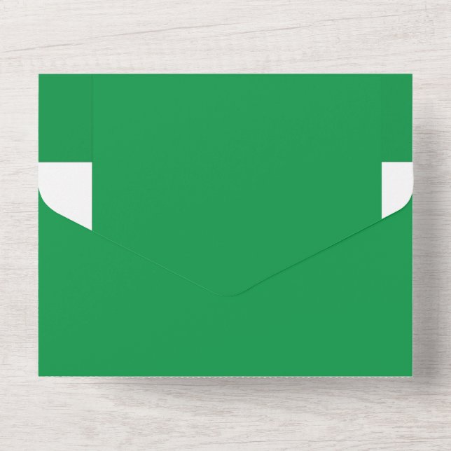 Invitación Todo En Uno Fondo verde con borde blanco para estética moderna (Reverso )