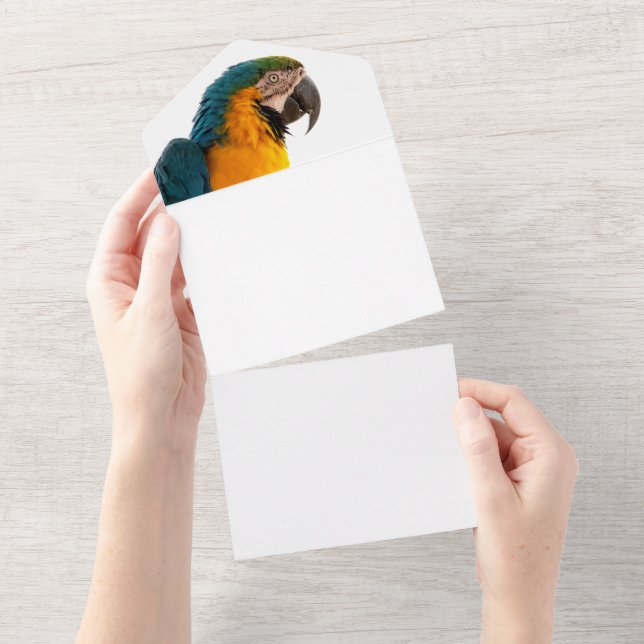 Invitación Todo En Uno Loro  (desgarro)