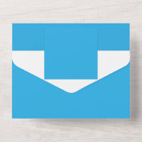 un fondo azul con un gato blanco y negro