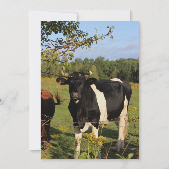 Invitación Tome la Bull por los cuernos (Anverso)