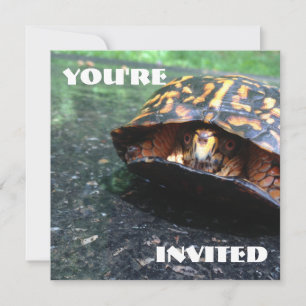 Invitación Tortuga de caja