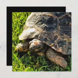 Invitación Tortuga salvaje en la pradera de hierba