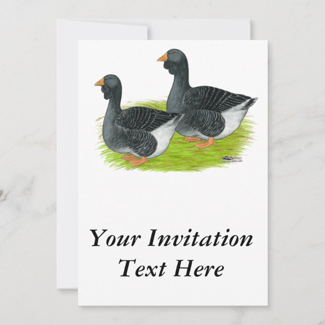 Invitación Toulouse Dewlap Geese (Anverso)