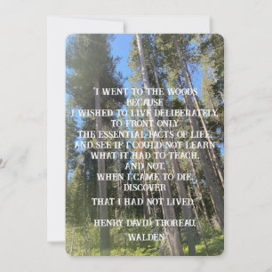 Invitación Trees Forest Woods Thoreau