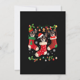 Invitación Tres Chihuahua en Navidades de choque Perro Santa