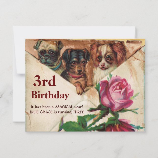 Invitación TRES DOGGIES CON ROSAS, tercer pergamino de cumple (Anverso)