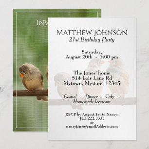 Invitación Tres tuiteos tocan fotografías de aves animales