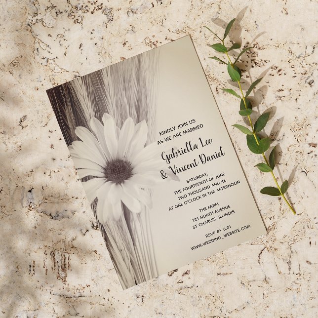 Invitación Trigo seco y Boda de la granja rural Daisy (Subido por el creador)