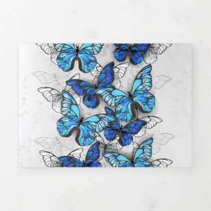 Invitación Tríptica Composición de las mariposas blancas y azules