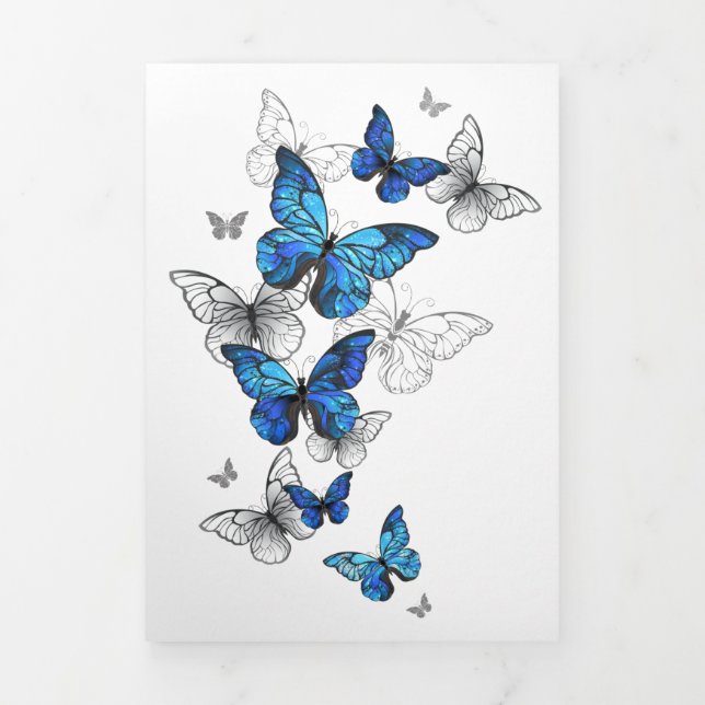 Invitación Tríptica Morfo de las mariposas voladoras azules (Foto de portada)