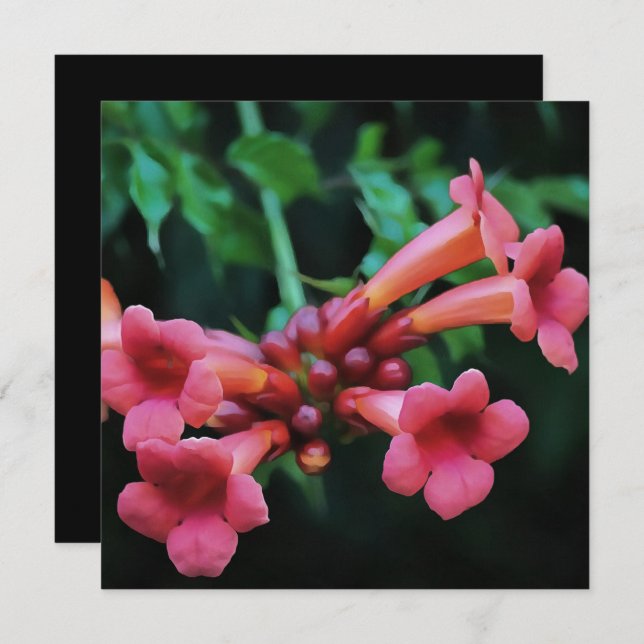 Invitación Trompeta rosada Castillo de Honeysuckle Arte Botán (Anverso / Reverso)