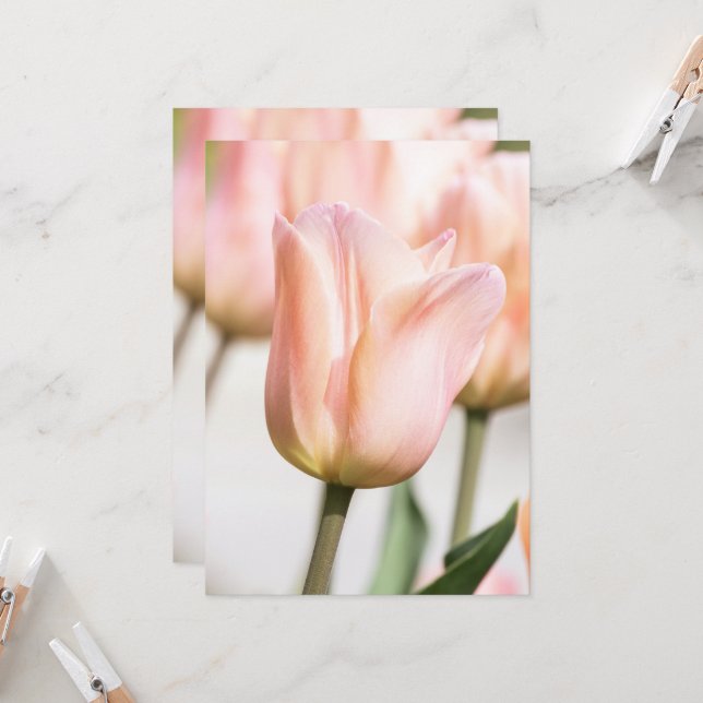 INVITACIÓN TULIP (Anverso/Reverso In Situ)