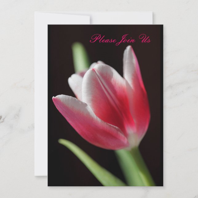 Invitación Tulip (Anverso)