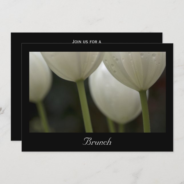 Invitación Tulipanes de jardín blancos Brunch de primavera de (Anverso / Reverso)