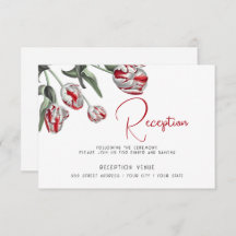 Tulipanes de Rembrandt Rojo y Blanco