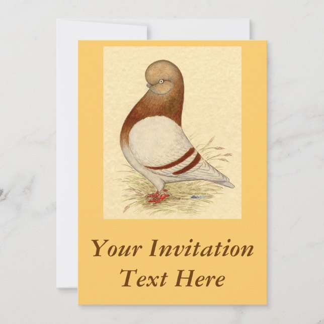 Invitación Tumbler Pigeon:  LFCL Mealy (Anverso)