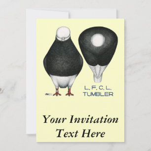 Invitación Tumbler Pigeon Standard Black Bald
