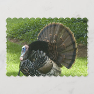 Invitación turkey-1.jpg