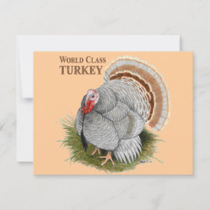 Invitación Turquía: Clase mundial