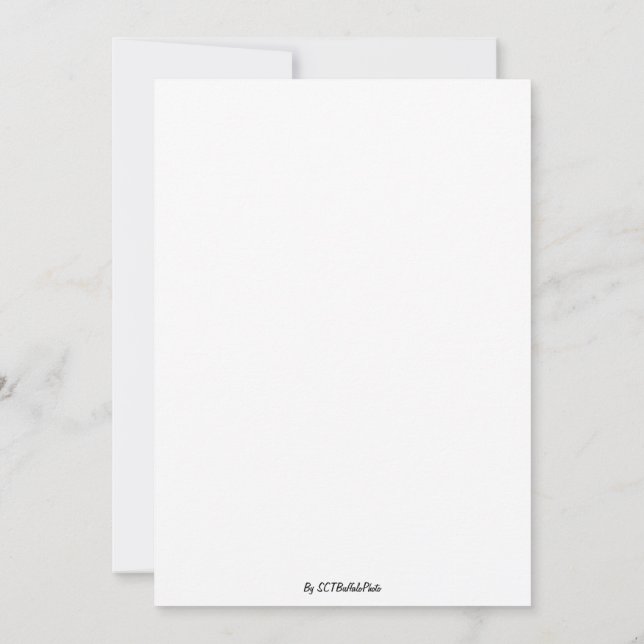 Invitación Un Espectáculo Deslumbrante (Reverso)