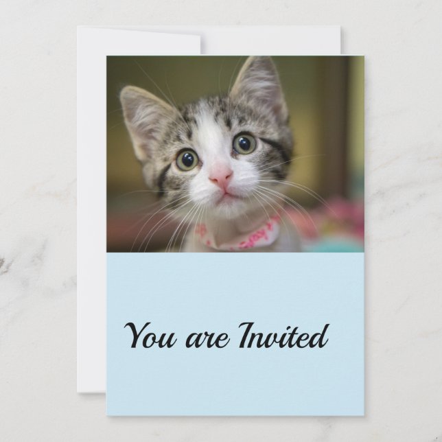 Invitación Un gatito lindo con ojos verdes (Anverso)